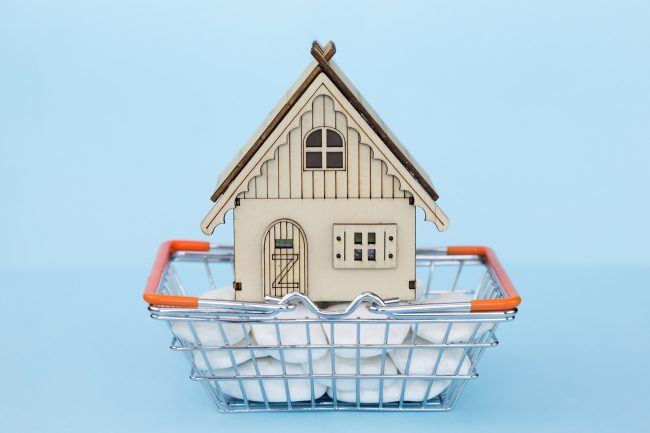 buying-a-country-house-wooden-toy-house-model-in-2022-08-01-04-53-23-utc